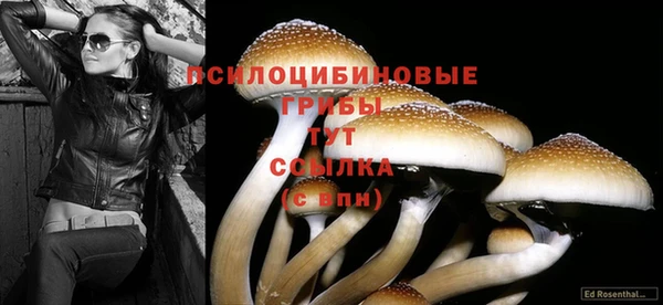 герыч Михайловск