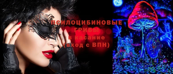стафф Навашино