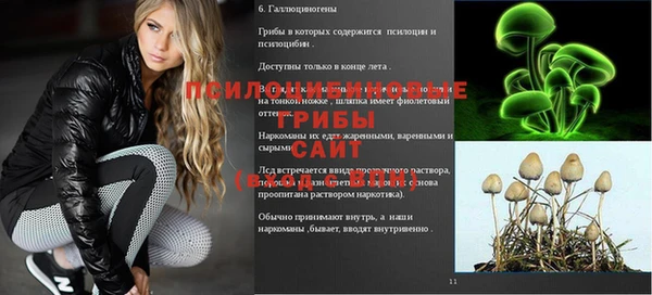 мдпв Болотное