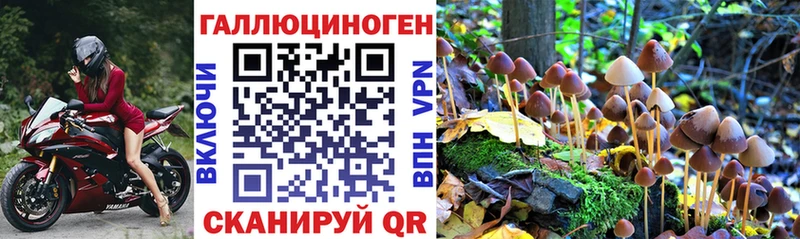 хочу наркоту  Знаменск  Галлюциногенные грибы MAGIC MUSHROOMS 
