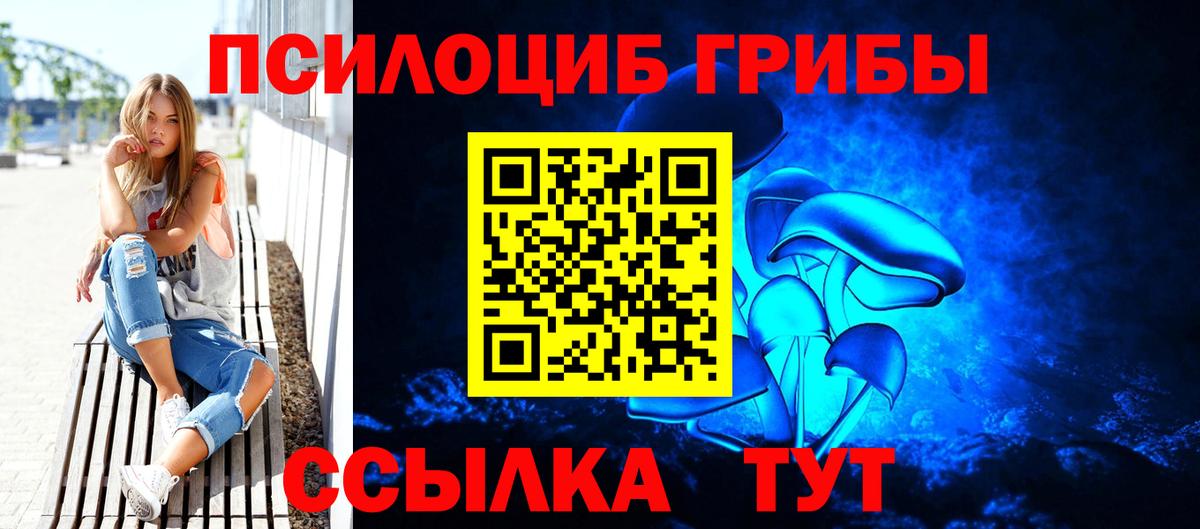 Псилоцибиновые грибы Psilocybe  купить закладку  Знаменск 