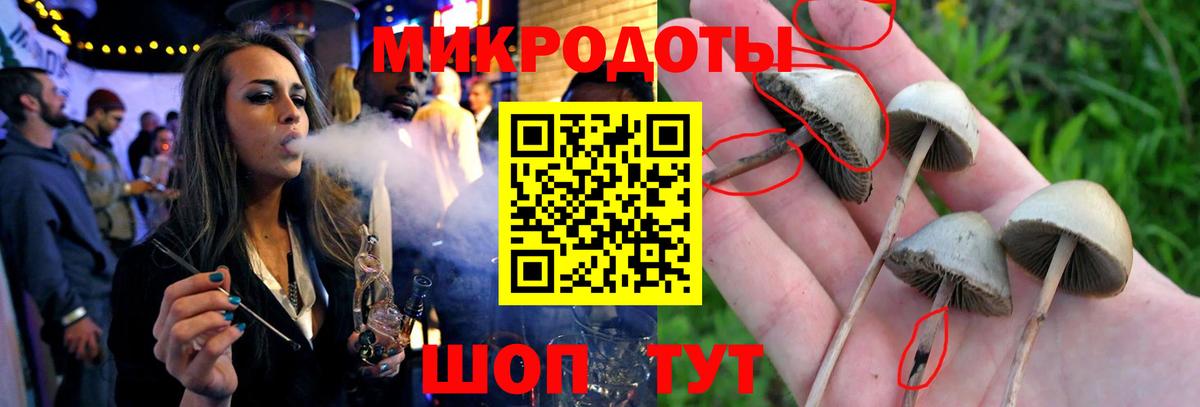 Псилоцибиновые грибы Cubensis  Псилоцибиновые грибы мухоморы  дарнет шоп  Вход с VPN  Знаменск 
