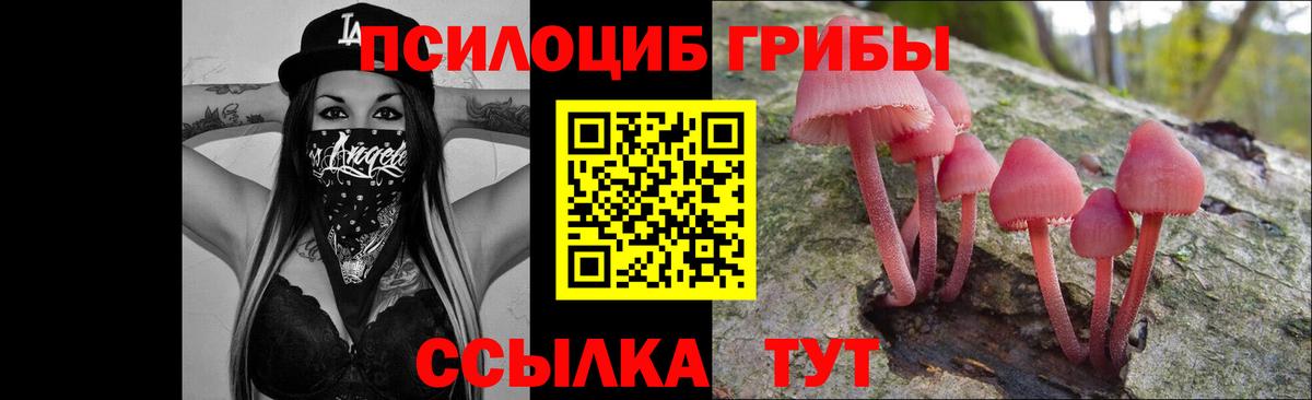 Галлюциногенные грибы мухоморы Знаменск